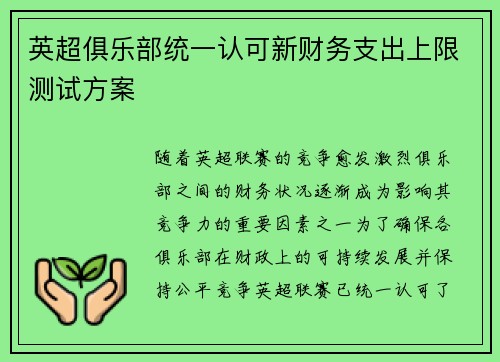 英超俱乐部统一认可新财务支出上限测试方案 英超俱乐部统一认可新财务支出上限测试方案